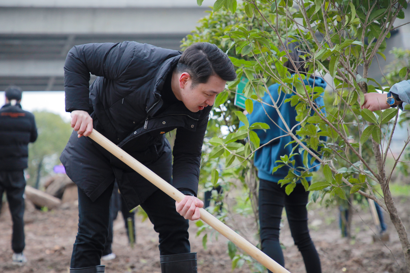 ֲ����(d��ng)