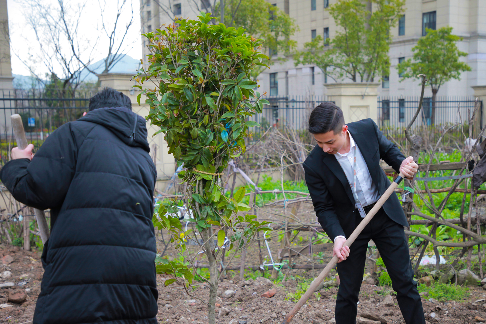 �h�T����ֲ��