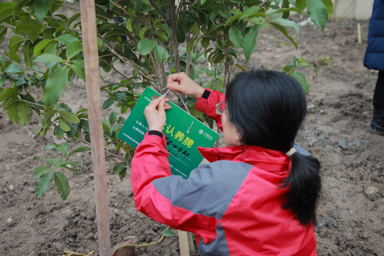 ���J(r��n)�B(y��ng)��