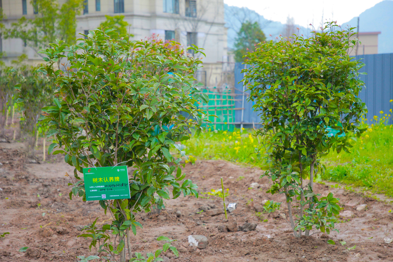 ���C(j��)�����Ę���