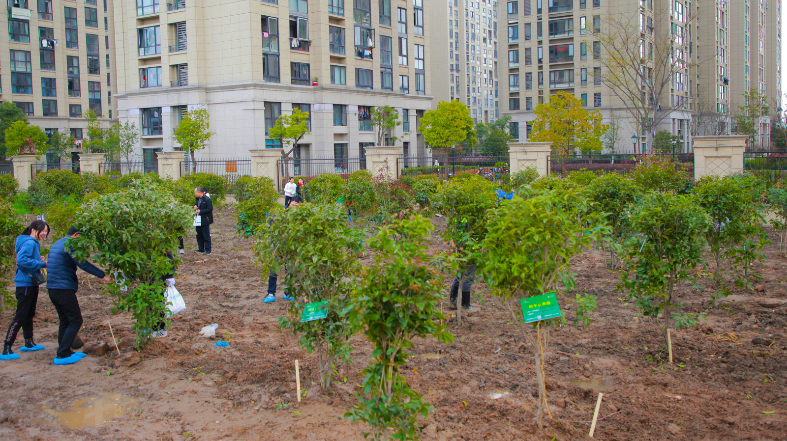 һƬ�Gɫ����