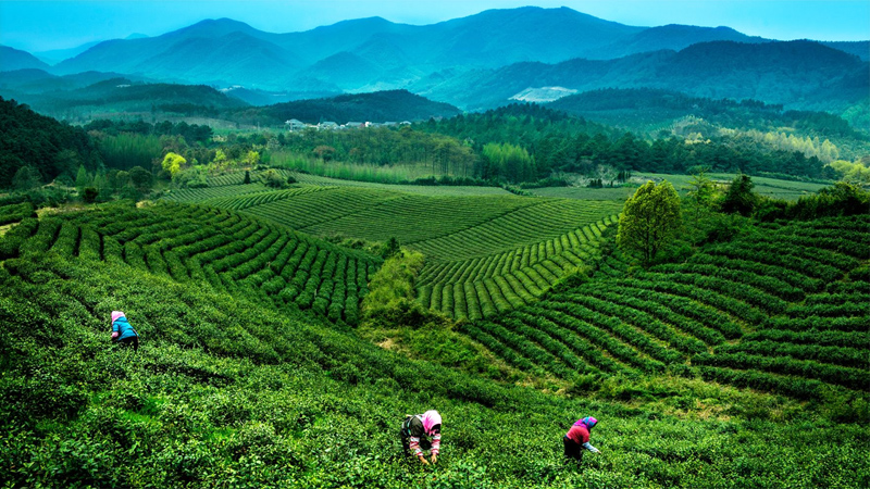 �Ї�����ƌW(xu��)�󣺾�������ؚ�� ������ͬ��ԣ