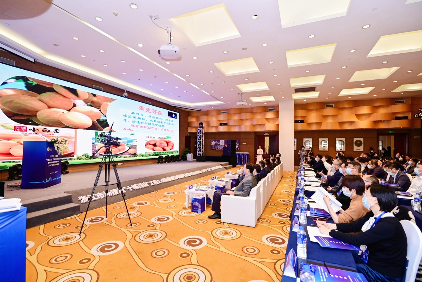 �ɵ��ƺ��s��ӡ���PPT������ʾ+���v���e�R�^ֱ��