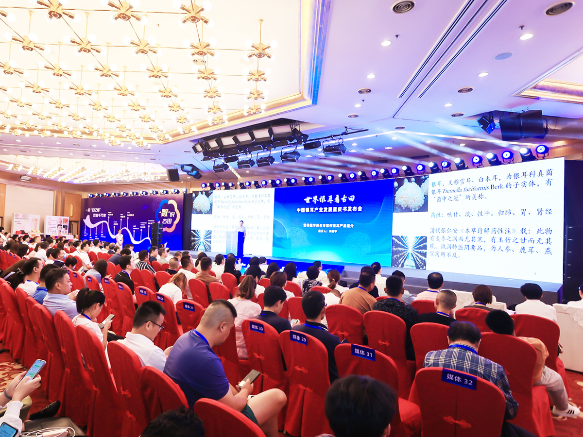 �a(ch��n)Ʒ�l(f��)����